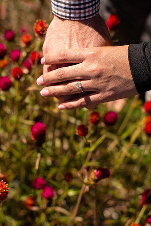 jordan_andrea_engagement_2025-81