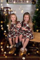 harrold_family_wp_2025-3