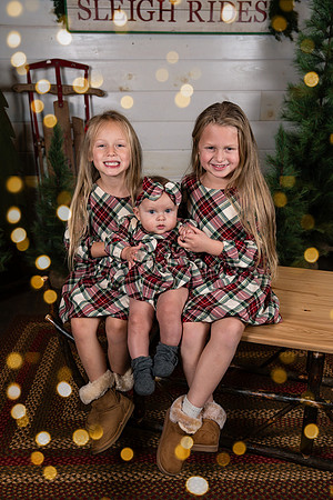 harrold_family_wp_2025-3