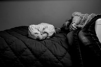 martin_family_2025-4