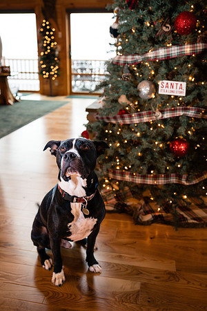 doster_family_christmas_2025-59