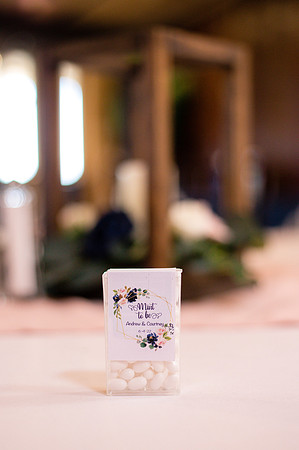 courtney_andrew_wedding_RECEPTION-2
