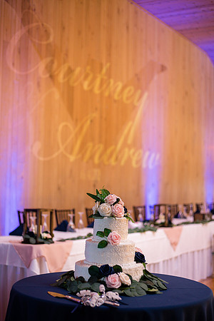 courtney_andrew_wedding_RECEPTION-95
