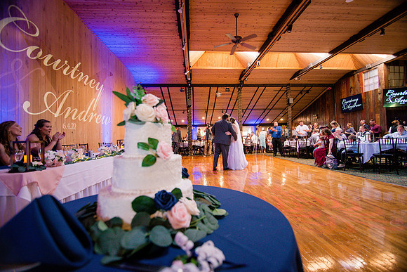 courtney_andrew_wedding_RECEPTION-73