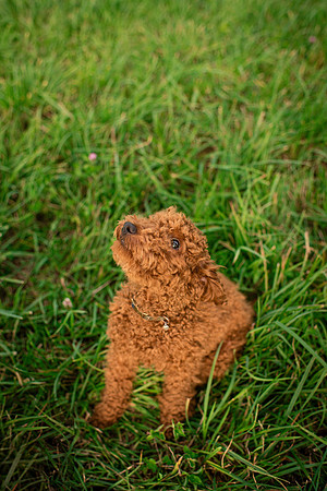 brenneman_family_2023-67