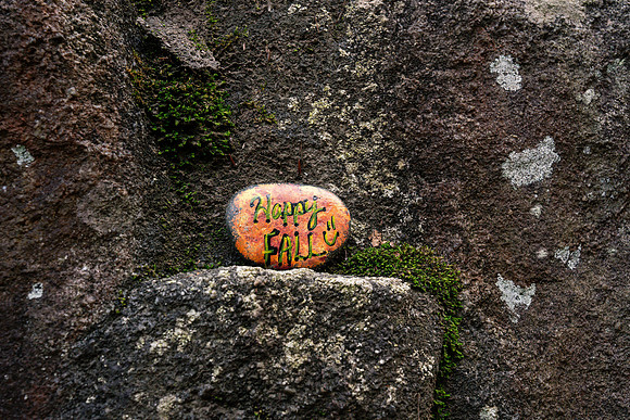 nathan_emily_engagement_2024-40