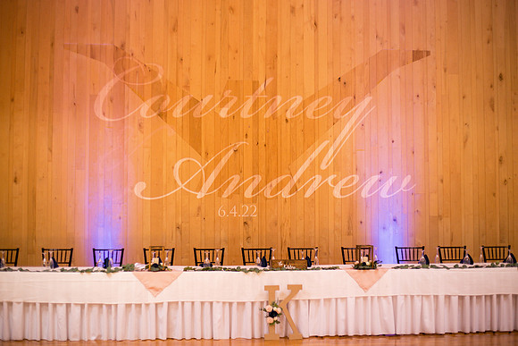 courtney_andrew_wedding_RECEPTION-3