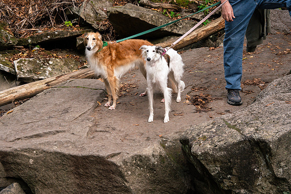 nathan_emily_engagement_2024-39