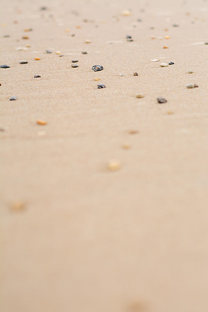 2024_June_Cape Henlopen-10